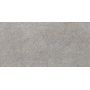 Плитка Saloni Igneous Stone Gris 450x900