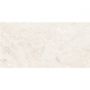 Плитка Tau Ceramica Mus.Pewter White 1200x600