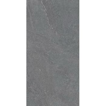 Stonehenge Темно-серый Rect Nat 597X1197