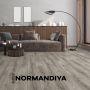 Ламінат Kastamonu FP Prime 4V normandiy 32/АС4 8 мм (FR013)