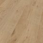 Виниловое покрытие Ter Hurne D04 Oak Dublin, Long Plank, Brushed, 2078 Matt 2200x217