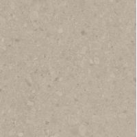 Плитка Argenta Ceramica Flodsten Earth 600x600
