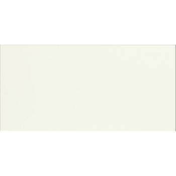 Плитка ASPEN BLANCO BRILLO 500x250