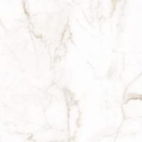 Плитка Allore Group Alcora Gold F P R Full Lappato 600x600