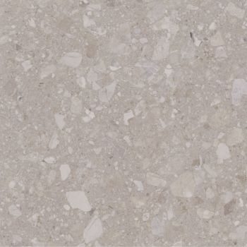 Плитка Allore Group Terra Beige F PC R Sugar 600x600