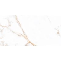 Плитка Allore Group Cesara White W M NR Glossy 608x308