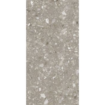 Плитка Allore Group Terra Greige F P R Mat 1200x600
