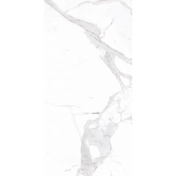 Плитка Allore Group Statuario White W M NR Satin 608x308