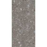 Плитка Allore Group Terra Greige F PC R Sugar 1200x600