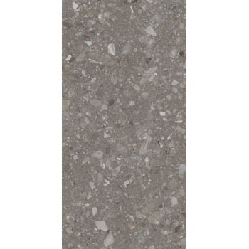 Плитка Allore Group Terra Greige F PC R Sugar 1200x600