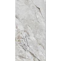 Плитка Allore Group AlPиna Silver F P R Full Lappato 1200x600