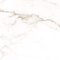 Плитка Allore Group Alcora Gold Full Lappato 600x600