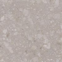 Плитка Allore Group Terra Beige F P R Mat 600x600