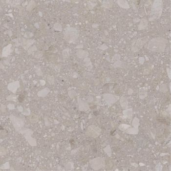 Плитка Allore Group Terra Beige F P R Mat 600x600