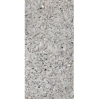 Плитка Allore Group Molika Silver F P R Mat 1200x600