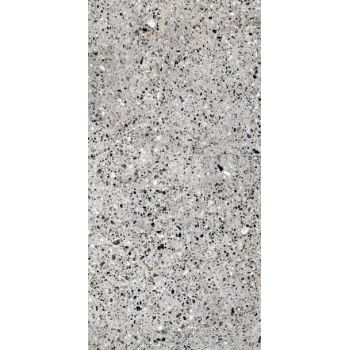 Плитка Allore Group Molika Silver F P R Mat 1200x600