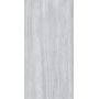 Плитка Allore Group Travertine Silver F PC R Mat 1200x600