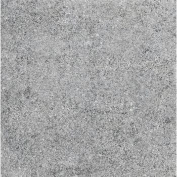 Плитка Allore Group Granito Grey F P R Mat 600x600