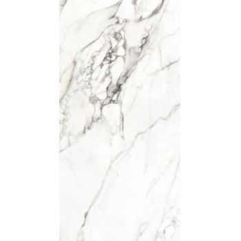 Плитка Allore Group Lago Grey F P R Satin 1200x600