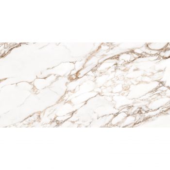 Плитка Allore Group Augusta White W M NR Glossy 608x308