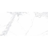 Плитка Allore Group Avenzo Silver F P R Full Lappato 1200x600