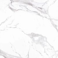 Плитка Allore Group Statuario White F P NR Satin 470x470