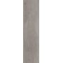 Плитка Allore Group Woodstock Grey F PR R Mat 900x225