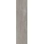 Плитка Allore Group Woodstock Grey F PR R Mat 900x225