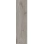 Плитка Allore Group Woodstock Grey F PR R Mat 900x225