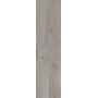Плитка Allore Group Woodstock Grey F PR R Mat 900x225