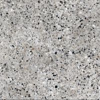Плитка Allore Group Molika Silver F P R Mat 600x600