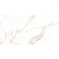 Плитка Allore Group Alcora Gold F P NR Satin 31x61