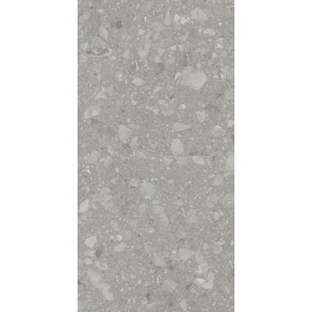 Плитка Allore Group Terra Grey F P R Mat 1200x600