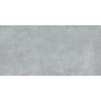 Плитка Allore Group Concrete Grey F P R Mat 600x300