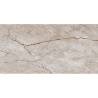 Плитка Allore Group Armina Dark Beige W M NR Glossy 608x308