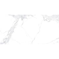 Плитка Allore Group Avenzo Silver Mat 600x1200