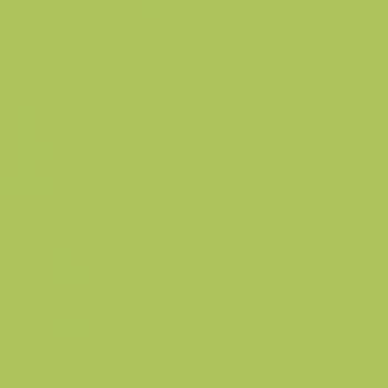 Плитка GMM40160P GREEN 600x600