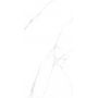 Плитка Almera Ceramica Prozzo CRV-3141 Light 1200x600