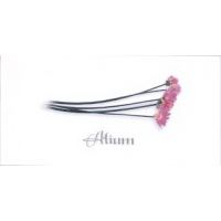 Декор Dec Alium Blanco 200X100