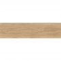 Плитка Argenta Ceramica Odessa Oak 1200x300