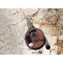 Плитка 0006313 NOBILE GREY GRAFITE LUX 1200x600