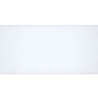 Плитка Atem Mono W 250x600