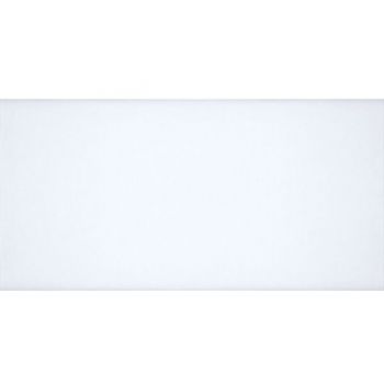 Плитка Atem Mono W 250x600