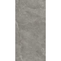 Плитка Atlas Concorde Marvel Grey Fleury Matt (A21F) 1200x600