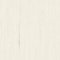 Плитка Atlas Concorde Marvel Stone Bianco Dolomite Matt (A204) 1200x1200