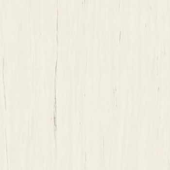 Плитка Atlas Concorde Marvel Stone Bianco Dolomite Matt (A204) 1200x1200