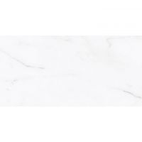 Плитка Azulejos Benadresa Status Natural Rect. P6012L 600x1200