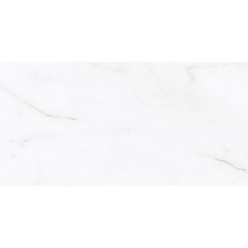 Плитка Azulejos Benadresa Status Natural Rect. P6012L 600x1200