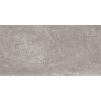 Плитка Baldocer Concept Grey Rectificado 1200x600