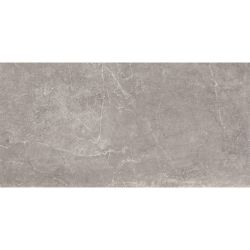 Плитка Baldocer Concept Grey Rectificado 1200x600